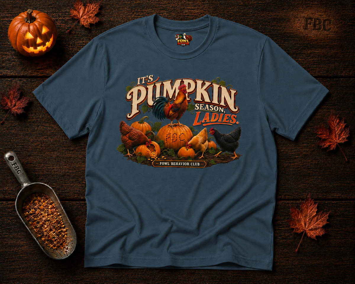 Its Pumpkin Season Ladies T-Shirt